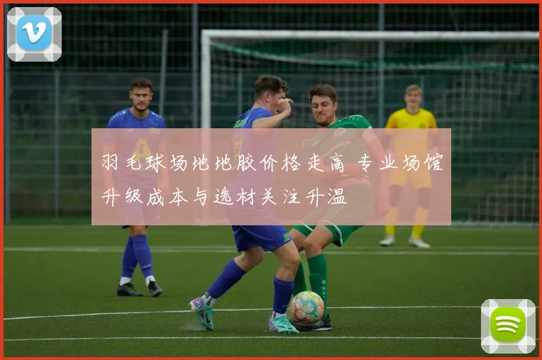 羽毛球场地地胶价格走高 专业场馆升级成本与选材关注升温