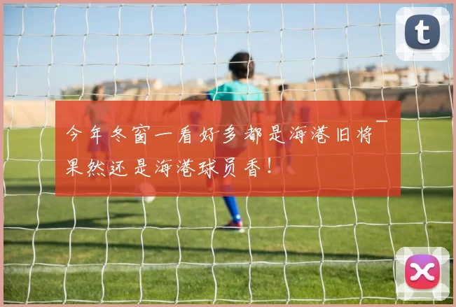 今年冬窗一看好多都是海港旧将~ 果然还是海港球员香！