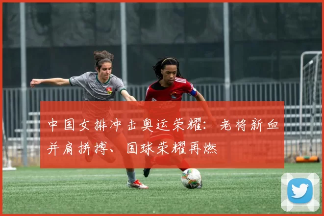 中国女排冲击奥运荣耀:老将新血并肩拼搏、国球荣耀再燃