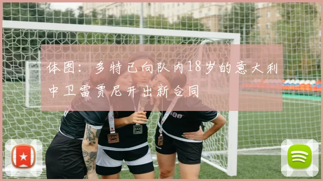 体图:多特已向队内18岁的意大利中卫雷贾尼开出新合同
