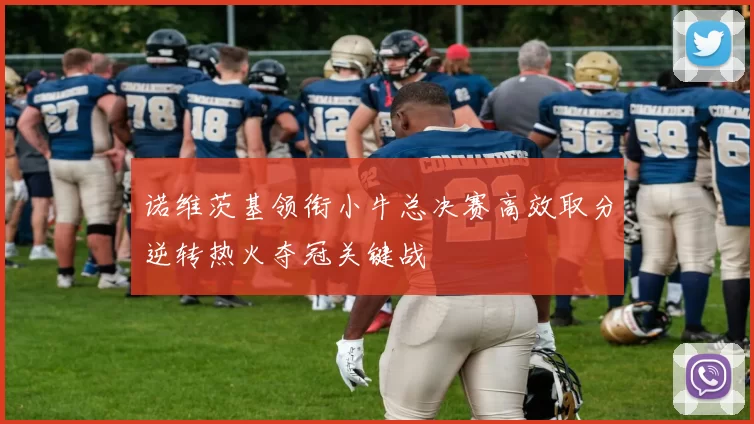 诺维茨基领衔小牛总决赛高效取分逆转热火夺冠关键战