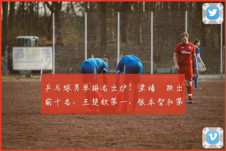 乒乓球男单排名出炉!梁靖崑跌出前十名,王楚钦第一,张本智和第四