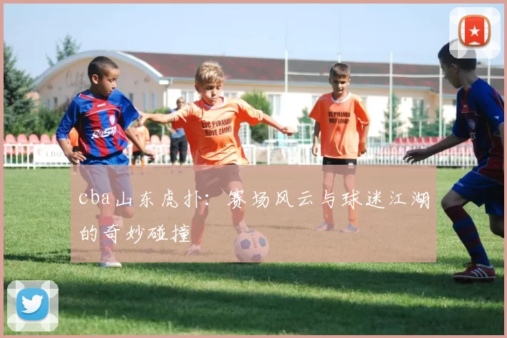 cba山东虎扑：赛场风云与球迷江湖的奇妙碰撞