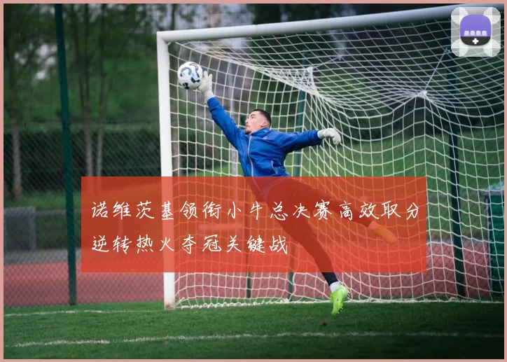诺维茨基领衔小牛总决赛高效取分逆转热火夺冠关键战